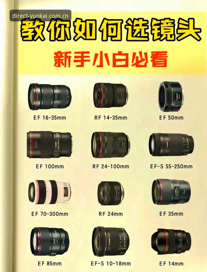 云开全站iOS版安装与使用完整指南：从零开始的创新探索